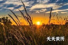 建日意思|建日指哪天，十二建日是什么意思